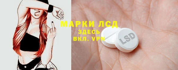 соль ск Горнозаводск