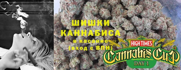 соль ск Горнозаводск