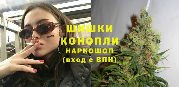 соль ск Горнозаводск