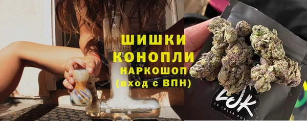 соль ск Горнозаводск