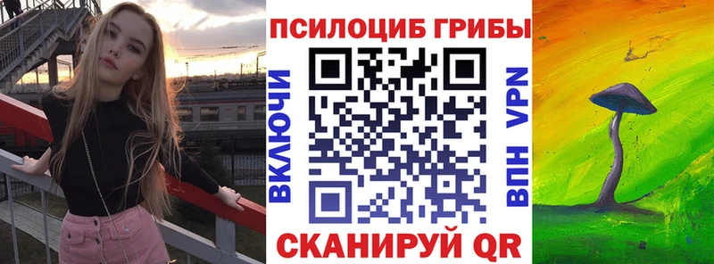 сколько стоит  OMG ссылка  Галлюциногенные грибы GOLDEN TEACHER  Павловская 
